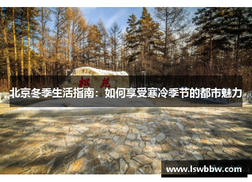北京冬季生活指南：如何享受寒冷季节的都市魅力