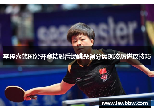 李梓嘉韩国公开赛精彩后场跳杀得分展现凌厉进攻技巧